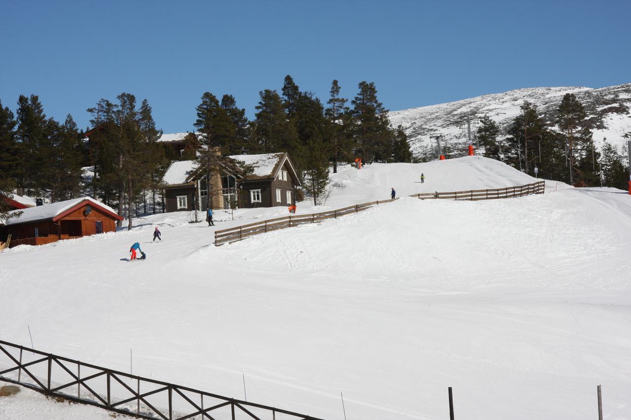 Lemonsjo Fjellstue Og Hyttegrend Randsverk Екстериор снимка